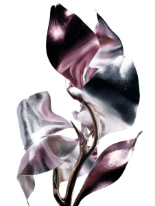 Futuristic Flower Bouquet Vinyl Car Decal Sticker – Waterproof & UV-Resistant 8.213333333333333" Futuristic Flower Bouquet Vinyl Car Decal Sticker – Waterproof & UV-Resistant 8.213333333333333"