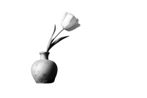 White Tulip Vase Vinyl Car Decal Sticker – Waterproof & UV-Resistant 2.986666666666667"