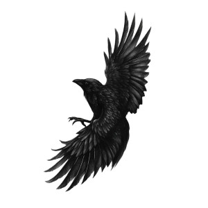 Blackwork Raven Tattoo Vinyl Car Decal Sticker – Waterproof & UV-Resistant 3.4133333333333336"