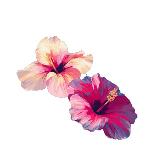 Tropical Flowers V2 Vinyl Car Decal Sticker – Waterproof & UV-Resistant 3.4133333333333336" Tropical Flowers V2 Vinyl Car Decal Sticker – Waterproof & UV-Resistant 3.4133333333333336"