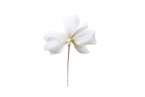 Delicate White Flower V2 Vinyl Car Decal Sticker – Waterproof & UV-Resistant 5.97333333333333