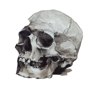 Skull Sketch Vinyl Car Decal Sticker – Waterproof & UV-Resistant 3.4133333333333336" Skull Sketch Vinyl Car Decal Sticker – Waterproof & UV-Resistant 3.4133333333333336"