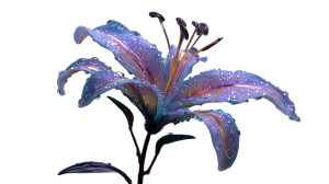 Cyberpunk Lily V2 Vinyl Car Decal Sticker – Waterproof & UV-Resistant 5.4