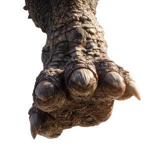 Giant Monster Foot Vinyl Car Decal Sticker – Waterproof & UV-Resistant 3.4133333333333336"