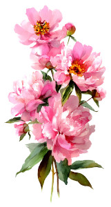 Pink Peonies Bouquet V5 Vinyl Car Decal Sticker – Waterproof & UV-Resistant 4.96"