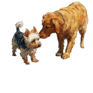 Dogs Playing Beach Vinyl Car Decal Sticker – Waterproof & UV-Resistant 3.4133333333333336"