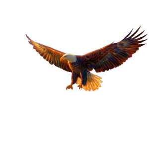 Eagle Fireworks Display Vinyl Car Decal Sticker – Waterproof & UV-Resistant 3.4133333333333336"