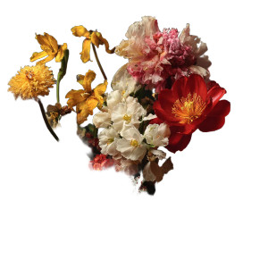 Flowers V15 Vinyl Car Decal Sticker – Waterproof & UV-Resistant 3.4133333333333336"