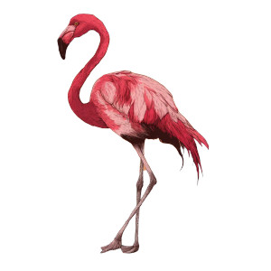Flamingo Vector Vinyl Car Decal Sticker – Waterproof & UV-Resistant 3.4133333333333336"
