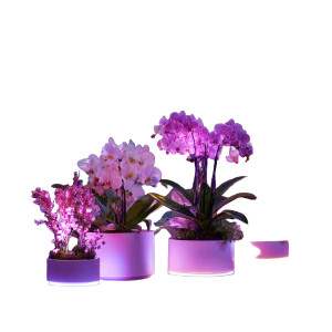 Illuminated Potted Flowers Vinyl Car Decal Sticker – Waterproof & UV-Resistant 6.826666666666667"