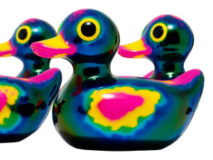 Iridescent Ducks Vinyl Car Decal Sticker – Waterproof & UV-Resistant 3.0933333333333333" Iridescent Ducks Vinyl Car Decal Sticker – Waterproof & UV-Resistant 3.0933333333333333"