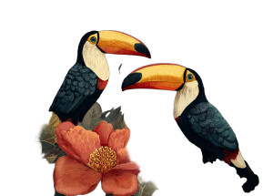 Tropical Toucans Illustration Vinyl Car Decal Sticker – Waterproof & UV-Resistant 3.0933333333333333"