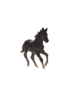 Six-Legged Foal Vinyl Car Decal Sticker – Waterproof & UV-Resistant 4.0"