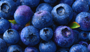 Fresh Blueberries Top Vinyl Car Decal Sticker – Waterproof & UV-Resistant 5.546666666666667"