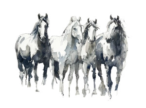 Watercolor Horses Vinyl Car Decal Sticker – Waterproof & UV-Resistant 6.293333333333333" Watercolor Horses Vinyl Car Decal Sticker – Waterproof & UV-Resistant 6.293333333333333"