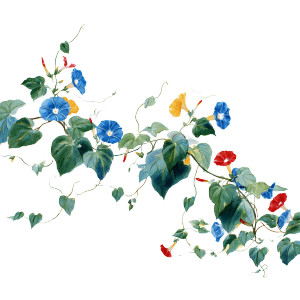 Colorful Flower Vine Vinyl Car Decal Sticker – Waterproof & UV-Resistant 3.4133333333333336" Colorful Flower Vine Vinyl Car Decal Sticker – Waterproof & UV-Resistant 3.4133333333333336"