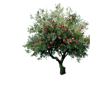 Apple Tree Painting Vinyl Car Decal Sticker – Waterproof & UV-Resistant 3.4133333333333336"