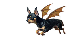 Fiery Winged Chihuahua Vinyl Car Decal Sticker – Waterproof & UV-Resistant 2.986666666666667"