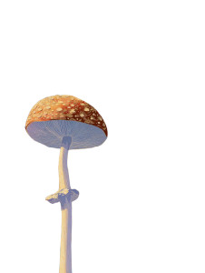 Psychedelic Mushroom Scene Vinyl Car Decal Sticker – Waterproof & UV-Resistant 4.1066666666666665"