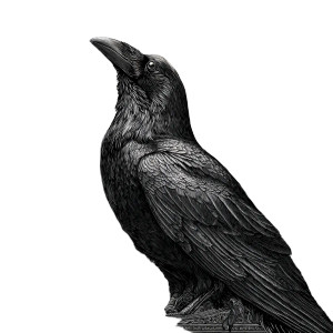 Gothic Raven Engraving Vinyl Car Decal Sticker – Waterproof & UV-Resistant 3.4133333333333336"