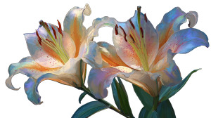 Cartoon Lilies Closeup Vinyl Car Decal Sticker – Waterproof & UV-Resistant 2.72"