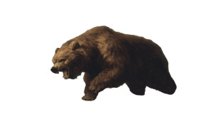 Angry Roaring Bear V9 Vinyl Car Decal Sticker – Waterproof & UV-Resistant 2.72"