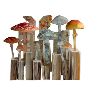 Mushroom Bookmarks Vinyl Car Decal Sticker – Waterproof & UV-Resistant 3.4133333333333336" Mushroom Bookmarks Vinyl Car Decal Sticker – Waterproof & UV-Resistant 3.4133333333333336"