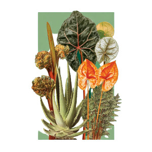 Plant Collage Vinyl Car Decal Sticker – Waterproof & UV-Resistant 6.826666666666667" Plant Collage Vinyl Car Decal Sticker – Waterproof & UV-Resistant 6.826666666666667"