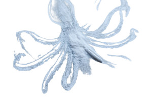 Kid And Kraken Vinyl Car Decal Sticker – Waterproof & UV-Resistant 5.97333333333333 Kid And Kraken Vinyl Car Decal Sticker – Waterproof & UV-Resistant 5.97333333333333