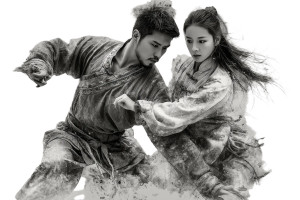 Dynamic Martial Arts Duo Vinyl Car Decal Sticker – Waterproof & UV-Resistant 2.986666666666667"