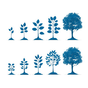 Blue Tree Growth Vinyl Car Decal Sticker – Waterproof & UV-Resistant 3.4133333333333336"