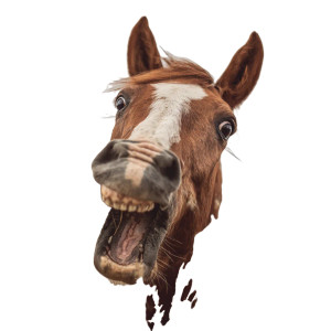 Chomping Horse Vinyl Car Decal Sticker – Waterproof & UV-Resistant 3.4133333333333336" Chomping Horse Vinyl Car Decal Sticker – Waterproof & UV-Resistant 3.4133333333333336"