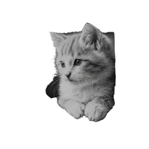 Cute Horned Kitten Vinyl Car Decal Sticker – Waterproof & UV-Resistant 3.4133333333333336"