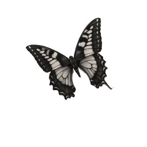 Swallowtail Butterfly Tattoo Vinyl Car Decal Sticker – Waterproof & UV-Resistant 3.4133333333333336" Swallowtail Butterfly Tattoo Vinyl Car Decal Sticker – Waterproof & UV-Resistant 3.4133333333333336"