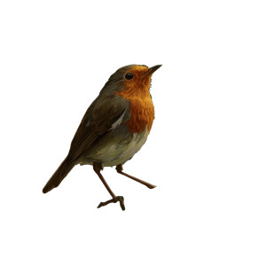 Robin On Lily Vinyl Car Decal Sticker – Waterproof & UV-Resistant 3.4133333333333336"