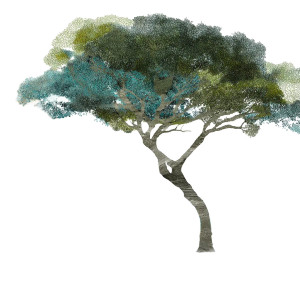 Lone Tree V4 Vinyl Car Decal Sticker – Waterproof & UV-Resistant 3.4133333333333336"