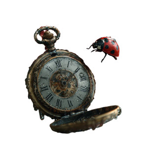 Dali'S Melting Clock Vinyl Car Decal Sticker – Waterproof & UV-Resistant 3.4133333333333336"