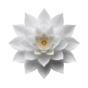 White Lotus Flower V3 Vinyl Car Decal Sticker – Waterproof & UV-Resistant 6.826666666666667"