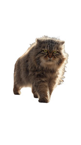 Skateboarding Manul Cat Vinyl Car Decal Sticker – Waterproof & UV-Resistant 9.706666666666667"