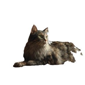 Flower Queen Cat Vinyl Car Decal Sticker – Waterproof & UV-Resistant 6.826666666666667"