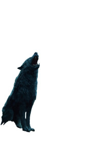 Hellhound Guardian Vinyl Car Decal Sticker – Waterproof & UV-Resistant 4.8533333333333335"