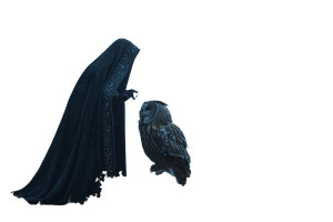Witch And Owl Vinyl Car Decal Sticker – Waterproof & UV-Resistant 2.986666666666667"