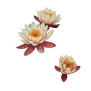 Water Flower Art Vinyl Car Decal Sticker – Waterproof & UV-Resistant 3.4133333333333336"