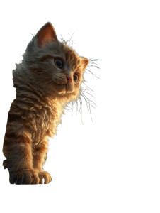 Gigantic Cute Kitten Vinyl Car Decal Sticker – Waterproof & UV-Resistant 4.1066666666666665"
