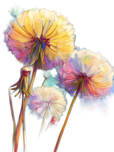 Dandelion Puffs Vinyl Car Decal Sticker – Waterproof & UV-Resistant 8.213333333333333"