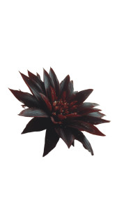 Desert Fantasy Flower Vinyl Car Decal Sticker – Waterproof & UV-Resistant 9.706666666666667"