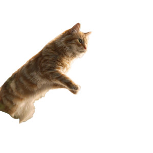 Graceful Jumping Cat Vinyl Car Decal Sticker – Waterproof & UV-Resistant 3.4133333333333336"