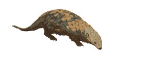 Pangolin Drinking Vinyl Car Decal Sticker – Waterproof & UV-Resistant 2.56"