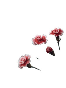 Blooming Carnations Vinyl Car Decal Sticker – Waterproof & UV-Resistant 4.1066666666666665"