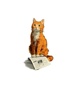 Ginger Cat Reading Vinyl Car Decal Sticker – Waterproof & UV-Resistant 4.4